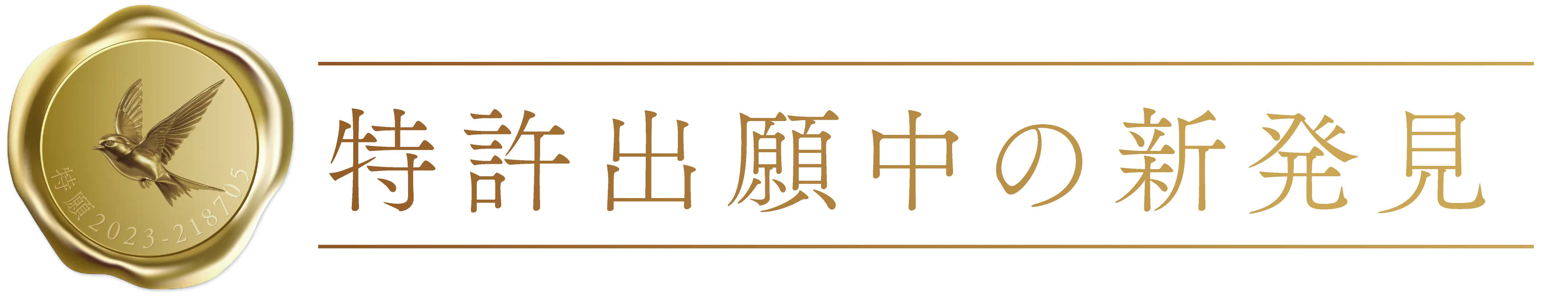 特許出願中